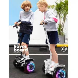 Çin profesyonel üretim OEM 10 inç vurgulu tekerlek kurulu hummer hoverboard ile gidon ucuz vurgulu kurulu,