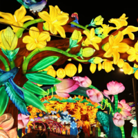 Fleurs géantes en soie rouge 2025 faites à la main pour lanternes en papier décoratives extérieures éclairage de parc de festival de nouvel an chinois personnalisé