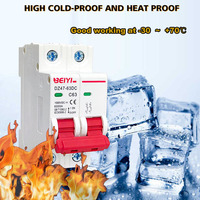 Disyuntores MCB personalizados de 1P, 2P, 3P, 4P, 1P, 2P, 4P, 20A, 25A, 32A, 40A, 50A, 63A, 6KA, 500Vdc, 32 amperios
