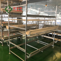 Cage à poulets automatique de type H avec batterie intelligente pour élevage avicole