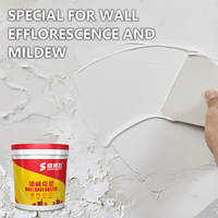 Pâte de réparation murale résistante aux alcalis, anti-efflorescence, revêtement hydrofuge pour la réparation des murs domestiques – Vente en gros directe usine