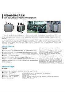 Transformador Sumergido en Aceite de 10kV con Diseño de Bajo Ruido - Menos de 45dB para Entornos Silenciosos - Product Image 5