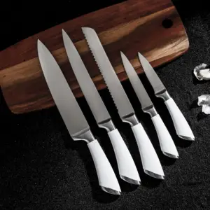 Hot bán 5 cái thép không gỉ nấu ăn Cutter Dao đầu bếp Knife Set với dao gỗ khối