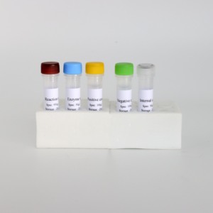 Kit de PCR en Tiempo Real de Triple Fluorescencia Preciso y Eficiente para la Diarrea Epidémica Porcina, la Gastroenteritis Transmisible y el Coronavirus Delta - Product Image 2