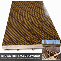 Contrachapado de Abedul Recubierto de Película Negra de 18 mm, Contrachapado Recubierto de Película de 1220x2440 mm, Contrachapado para Encofrados de Construcción