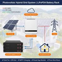 Batterieboxen und -gestelle LiFePO4 51,2V 5KWh 10KWh 16KWh 20KWh Heimenergiespeicher Rack-Montage Solarsystem OEM Großhandel CE