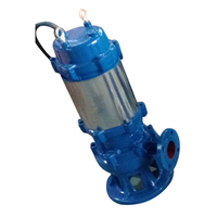 Pompe à eau sale submersible pour eaux usées Pompe à boue pour eaux usées Pompe d'aspiration de boue pour eau sale