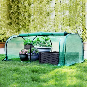 Mini Indoor Outdoor Tunnel Plastic Grow Small Garden Greenhouses Green House for Winter