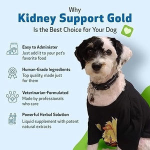 Gotas Líquidas de Apoyo Renal OEM/ODM para Mascotas - Favorecen la Micción Regular - Suplementos para la Salud Renal - Tratamiento para los Riñones - Product Image 3