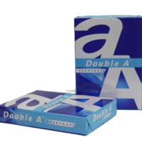 Papier copie A4 blanc 100% pâte de bois vierge 70g/m² et 80g/m² 500 feuilles pour le modèle A2