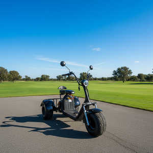 Tricycle électrique à <span class=keywords><strong>3</strong></span> roues 2000w 60V pour adultes, <span class=keywords><strong>10</strong></span> pouces, en alliage d'aluminium, étanche, moto électrique à <span class=keywords><strong>3</strong></span> roues - Product Image 3