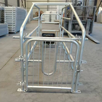 Cage de mise bas économique pour truies 2,2*0,7m, lit simple pour truies, positionnement des truies, ferme d'élevage avec abreuvoir en acier inoxydable en option