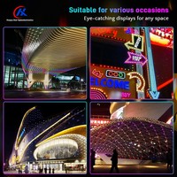Source de lumière ponctuelle LED programmable 12V 20mm RGB Pixel Node pour l'éclairage architectural et la décoration des installations de divertissement