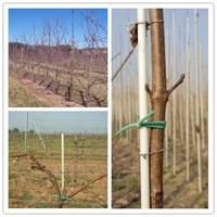 Fournisseur Direct de Tige En Fiber De Verre FRP Usine Poteau De Support En Vigne Raisin Tomate Fleur Plantation D'arbres