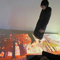 Vente en gros d'usine de carreaux de piste de danse interactifs Alibaba Stock Price