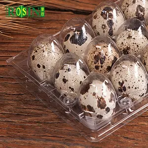 Pemasok Baki Telur Kemasan Karton Telur Puyuh Plastik Blister Bening Sekali Pakai Cangkang Kerang Berengsel 18 Lubang