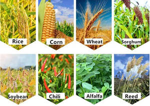 เครื่องตัด<span class=keywords><strong>ข้าว</strong></span>สาลีที่ดีราคาอินเดีย - Product Image 3