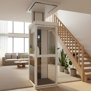 Mini Ascensor Residencial para 2, 3 y 4 Pisos, Puerta Automática, Interior/Exterior, para Viviendas y Villas, Diseño Moderno, TUV - Product Image 3