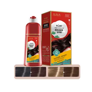 400ml Pflanzen blase Haar färbemittel Shampoo Haarfarbe Pflege produkt Bio Ammoniak arm Natürliche Haarfarbe Farbstoff für Salon