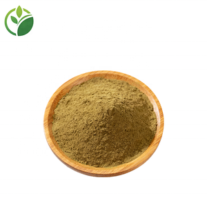 공장 도매 녹색 커피 콩 추출물 분말 50% 클로로겐산 녹색 커피 콩 추출물 - Product Image 3