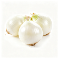 Graines d'oignon blanc hybride F1 de qualité supérieure pour la plantation, germination élevée, graines d'oignon frais pour l'agriculture