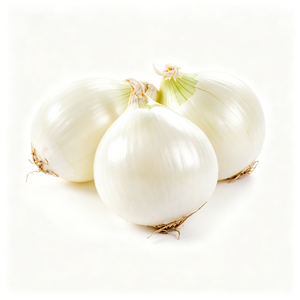 Semillas de Cebolla Blanca Híbrida F1 de Primera Calidad para Plantar, Alta Germinación, Semillas Frescas de Cebolla de Primavera para Agricultura - Product Image 4