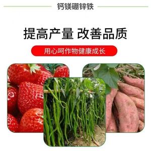 Agent colorant liquide pour plantes Eight Old Men 300ml pour la croissance des fruits et l'amélioration de la couleur - Product Image 4