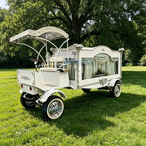 Carroza Fúnebre Clásica de Lujo Eléctrica Estilo Vintage con Caballos para Venta - Product Image 3