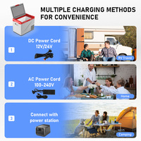 Réfrigérateurs chinois de 30L en gros, mini-réfrigérateur, fabricant de réfrigérateurs, réfrigérateur 12V à économie d'énergie, petit réfrigérateur pour voiture