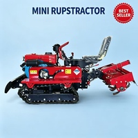 Matériel agricole pour petites exploitations : Machine multifonctionnelle diesel sur chenilles avec rotoculteur pour travaux en verger