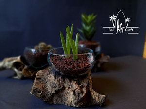 Terrário Aquário Decorativo Moderno Ecológico de Fibra de Vidro Fundido com Efeito de Madeira Flutuante, em Formato de Garrafa Semiaberta, para Plantas, Suprimentos para Atacado - Product Image 4