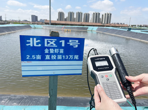Handheld Shrimp Pond Water Quality <strong>Tester</strong> DO Optical Meter Aquaculture Dissolved Oxygen DO Analyzer - Product Image 4