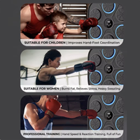 Machine de boxe musicale intelligente murale, 6 cibles lumineuses LED avec Bluetooth et compteur numérique pour entraînement à domicile