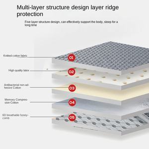 新升级加厚榻榻米床垫家用宿舍学生用耐用乳胶出租-地板睡垫垫 - Product Image 5