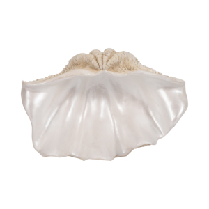 Ciotola Decorativa a Forma di Conchiglia, Centrotavola Ispirato al Mare, Decorazione per la Casa - Product Image 6