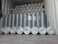 Vente chaude Rouleaux de grillage hexagonal en fil de fer pour poulaillers, cages à volailles, protection paysagère des lapins, découpe sur mesure