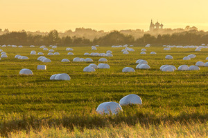 Film étirable pour ensilage, emballage de balles, 75 cm x 50 cm x 1650 m, en option - Product Image 4