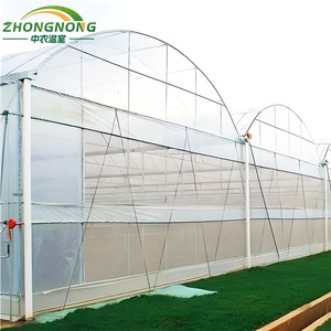 Sistema di Coltivazione Idroponica per <span class=keywords><strong>Pomodori</strong></span>/Semina, Serra Multicampata in Film con Sistema a Torre Idroponica - Product Image 5