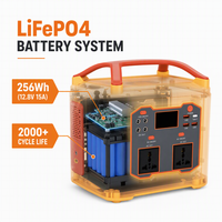 Station d'alimentation portable 300W, batterie LiFePO4 256Wh, générateur solaire, onduleur à onde sinusoïdale modifiée, type C, 4x lumières d'ambiance