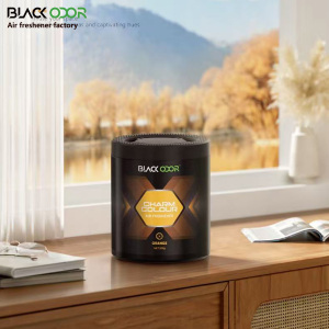 BLACK ODOR 새롭게 업그레이드된 차량용 방향제, 실내 쾌적함을 위한 아로마테라피 프리미엄 제품 - Product Image 5