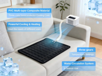 Consumer Electronics Cooling Pad with Cooling & Heating Eco-friendly PVC Material Multi-speed Adjustment for Winter and Summer