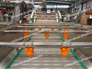 Laveuse industrielle VBJX pour légumes (feuilles, pommes <span class=keywords><strong>de</strong></span> <span class=keywords><strong>terre</strong></span>, carottes, mangues, tomates, piments) - Product Image 5