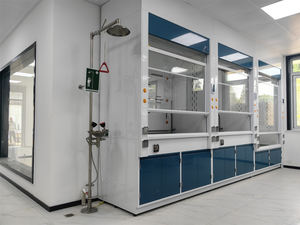 Wlak de laboratoire d'équipement de laboratoire de chimie dans la hotte avec l'équipement de laboratoire de lycée d'évier - Product Image 5