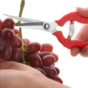 Factory Stock Stainless Steel Pruning Shears Knife Vegetable Scissors Floral Tree Scissors