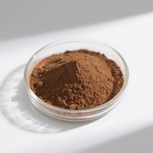 瑞沃天然牛蒡根提取物粉末牛蒡10%-20% 健康保护 - Product Image 1