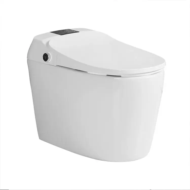 Qualidade china fabricar Luxo Automático Flush Wc Inteligente WC Tigelas Rimless Water Closet Smart Toilet