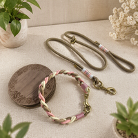 Ensemble laisse et collier rétractable pour chien, personnalisé, durable, en paracorde doux, velours et nylon, nouveau design, promotionnel, fait main, tressé, vente en gros