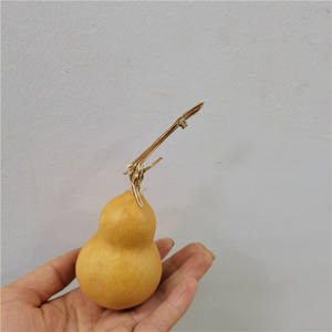 DFS51 labu Splicing kualitas tinggi INS bunga kering alami populer labu calabash & lagenaria <span class=keywords><strong>siceraria</strong></span> untuk dekorasi rumah - Product Image 6