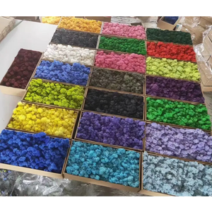 Wholesale Natural Stabilized Decorative Preserved <strong>Moss</strong> Natural Green Plants Preserved <strong>Moss</strong> for Decorative - Product Image 5