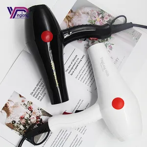 Ionic Hair Dryer Salon Hair Dryer Professional Blow Dryer Hotel Hair Dryer With AC Motor For Salon Hair Styling Fast Dry